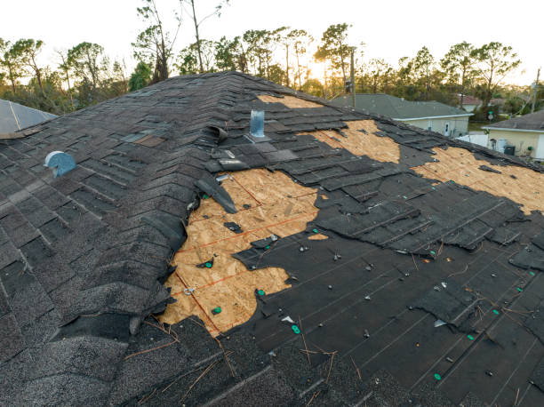 Best Asphalt Shingle Roofing  in Shenandoah Junction, WV